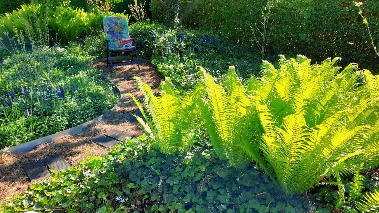 Mitten Im Seenland Und Spreewaldnah, Schoener Garten 施托尔科 外观 照片