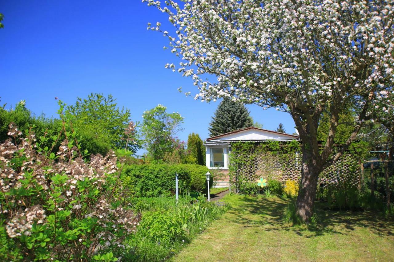 Mitten Im Seenland Und Spreewaldnah, Schoener Garten 施托尔科 外观 照片